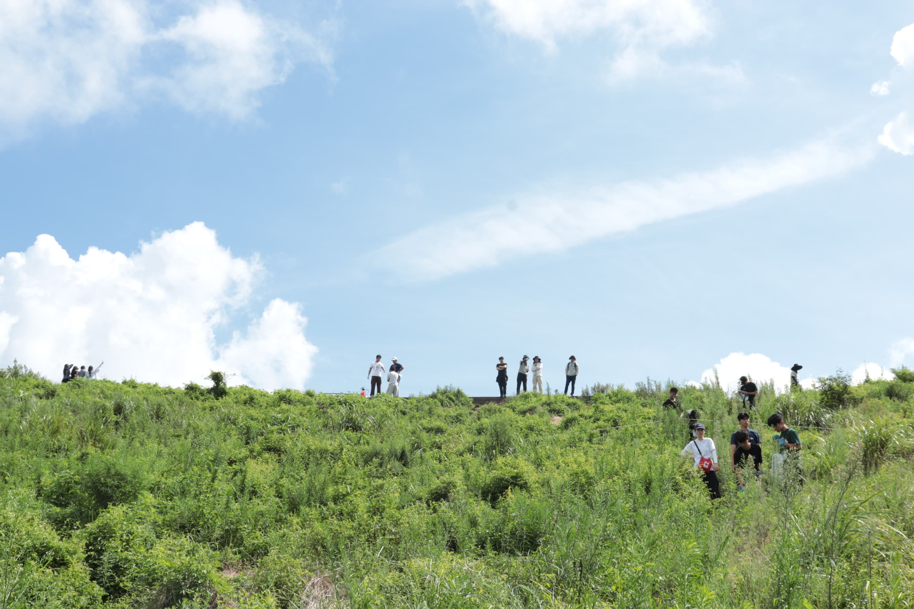 이끼 복원 현장 3