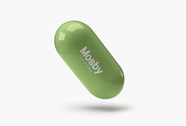 [에코테크 기업 찾아서] 코드오브네이처, 불에 다 타버린 숲을 이끼로 복원하는 "모스비"