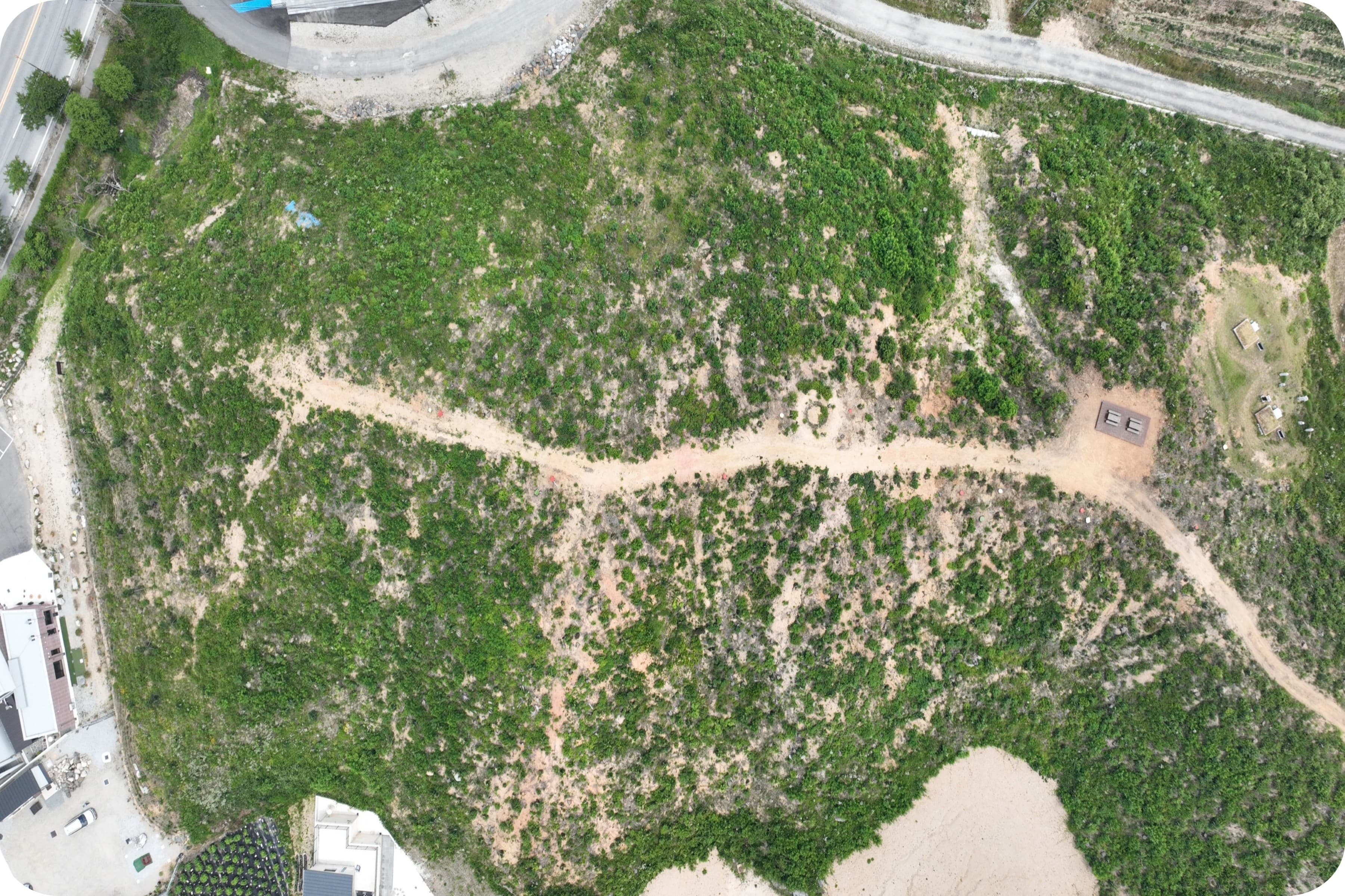 강릉 경포 산불피해지 토양 복원 프로젝트