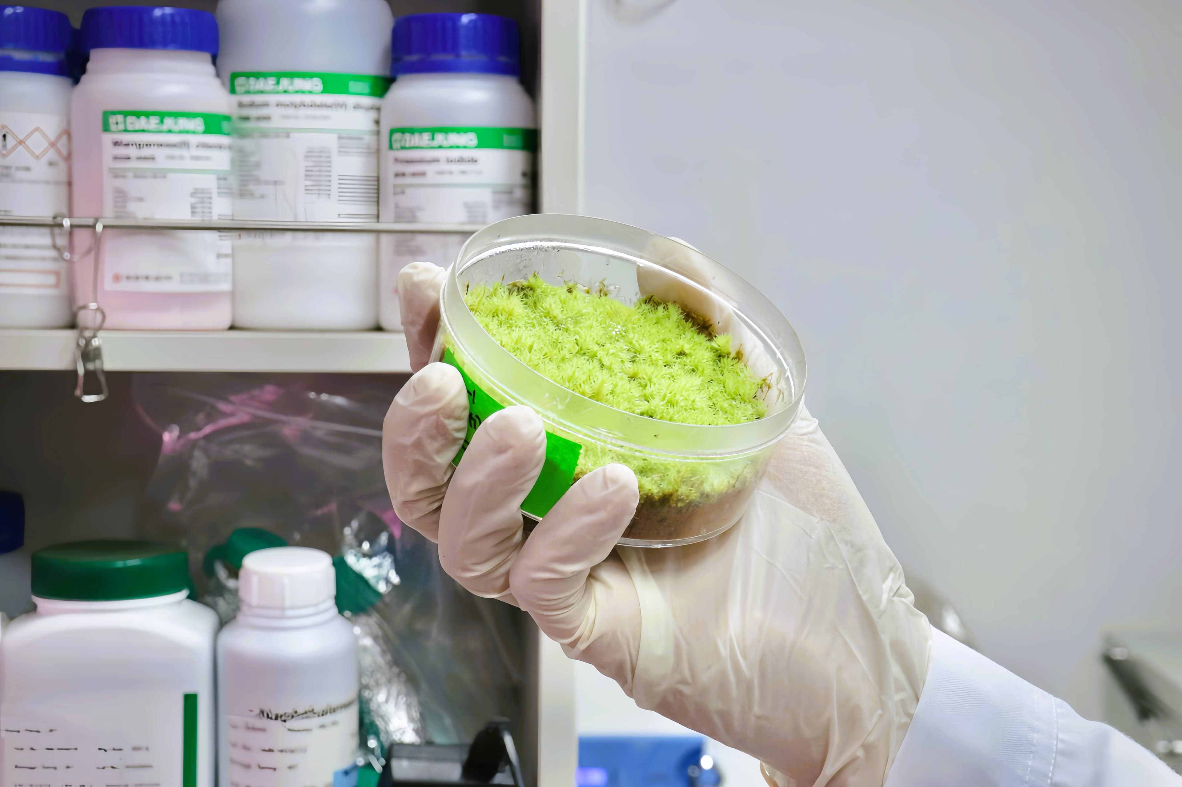 이끼 기반 토양 복원으로 시작합니다