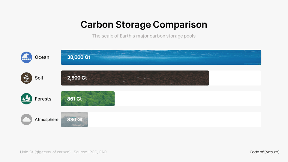 Carbon Storage Comparison — Ocean 38,000 Gt, Soil 2,500 Gt, Forests 861 Gt, Atmosphere 830 Gt (IPCC, FAO)