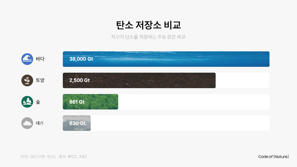 탄소 저장소 비교 인포그래픽 — 바다 38,000 Gt, 토양 2,500 Gt, 숲 861 Gt, 대기 830 Gt (IPCC, FAO)