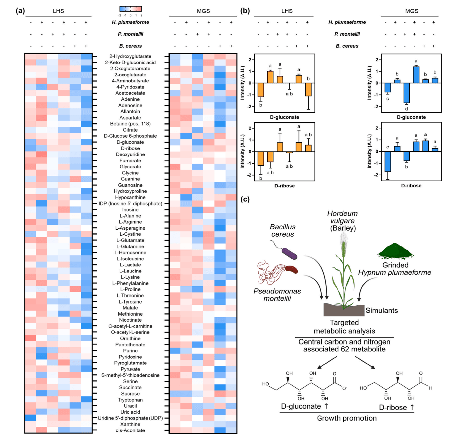 Results of microbial metabolite analysis