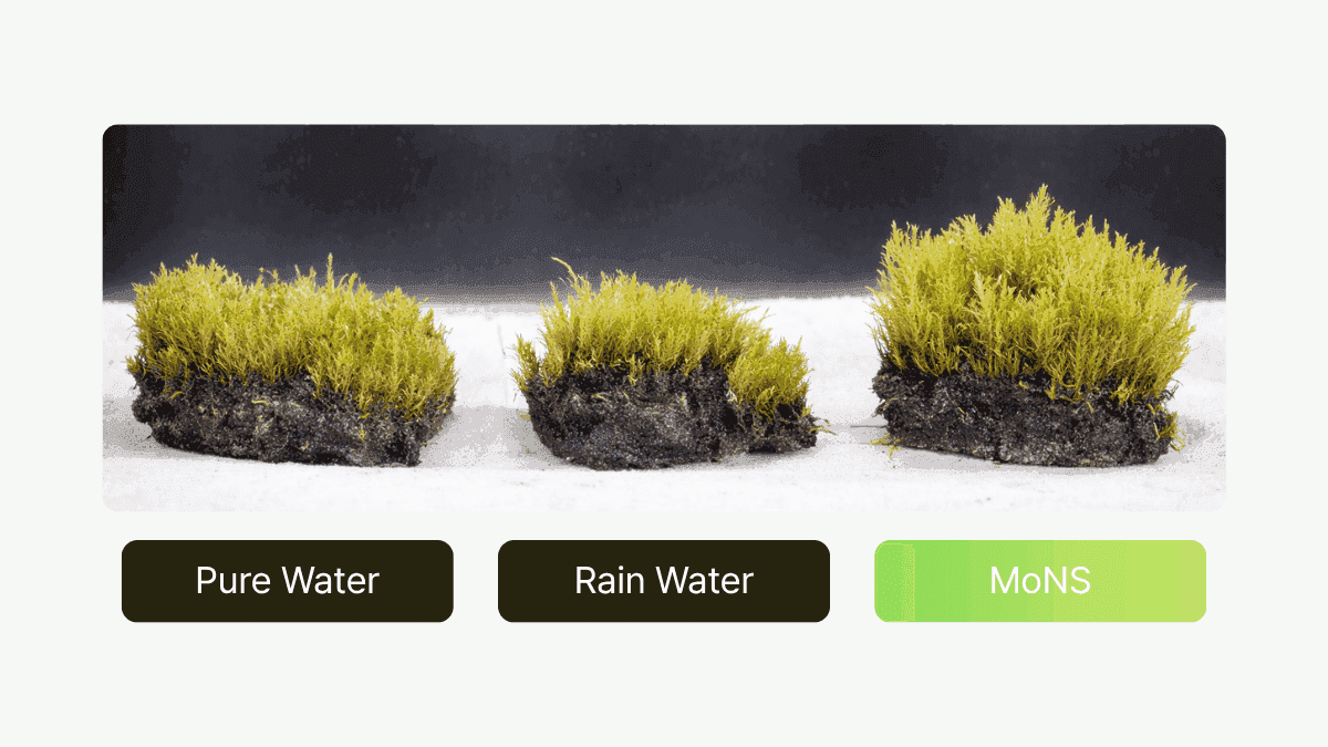 MoNS moss nutrient fertilizer — stable growth under dry conditions, 48+ hours at ≤30% humidity