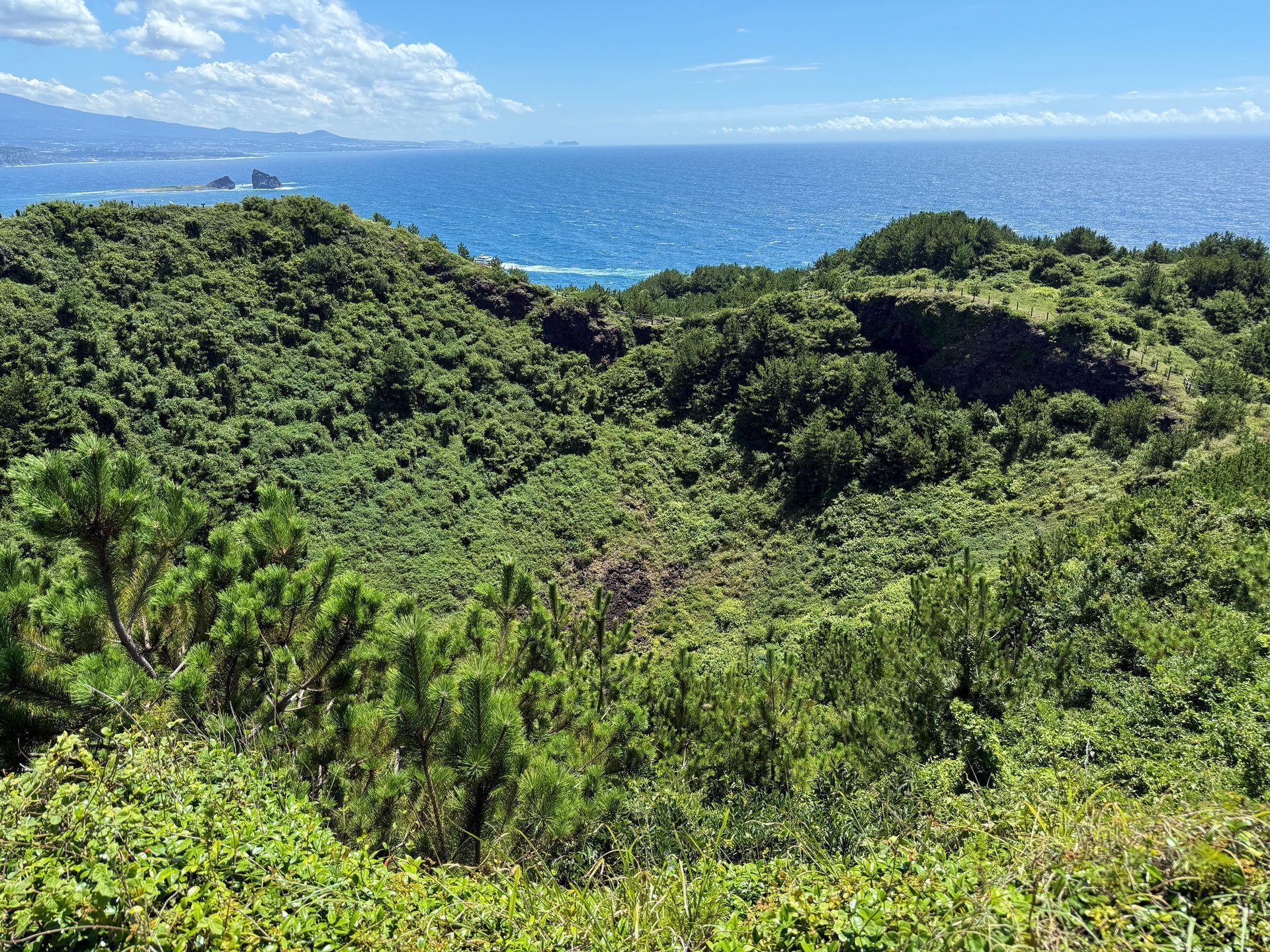 Songaksan Soil Restoration Project, Jeju