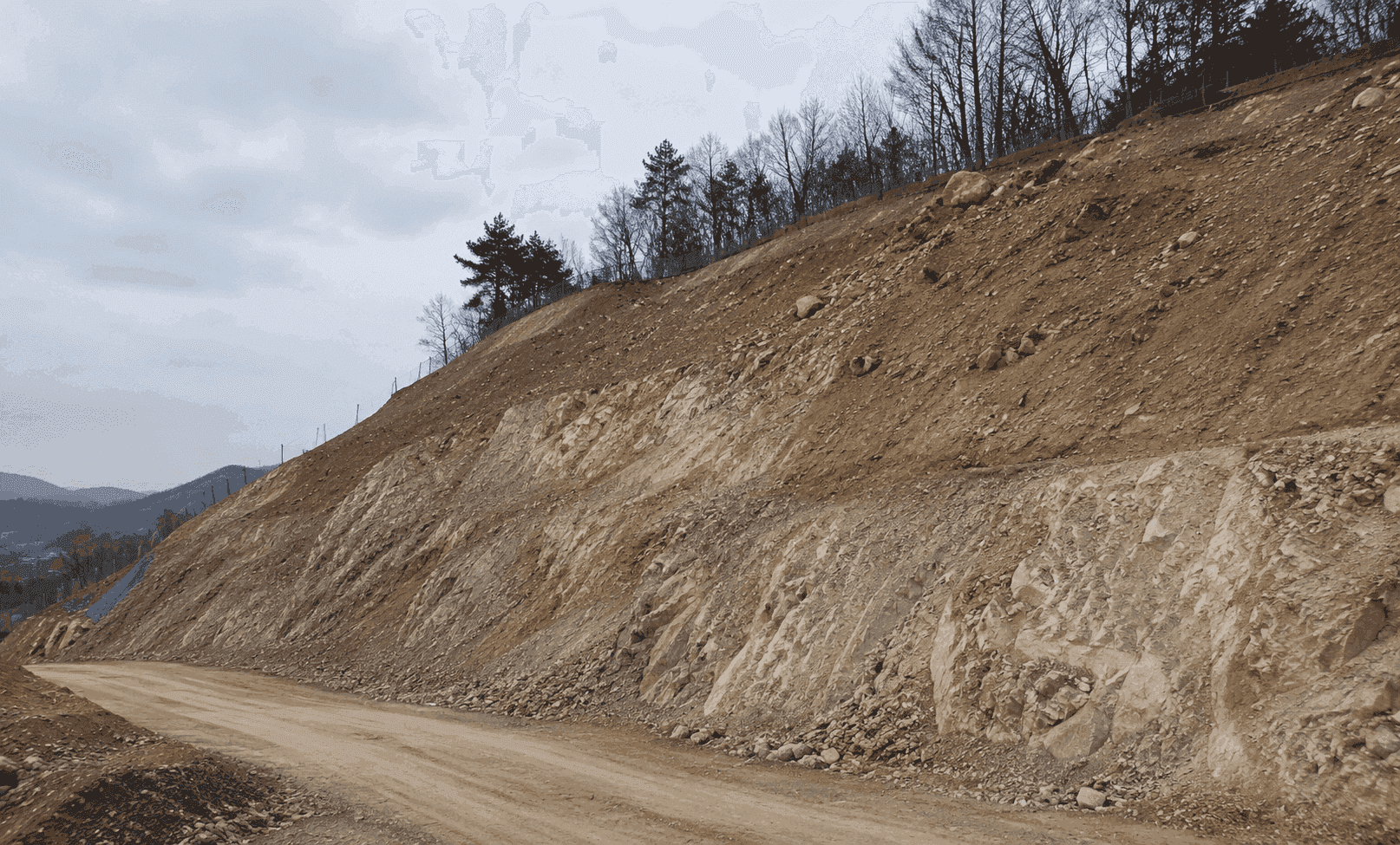 Cut Slope Stabilization
