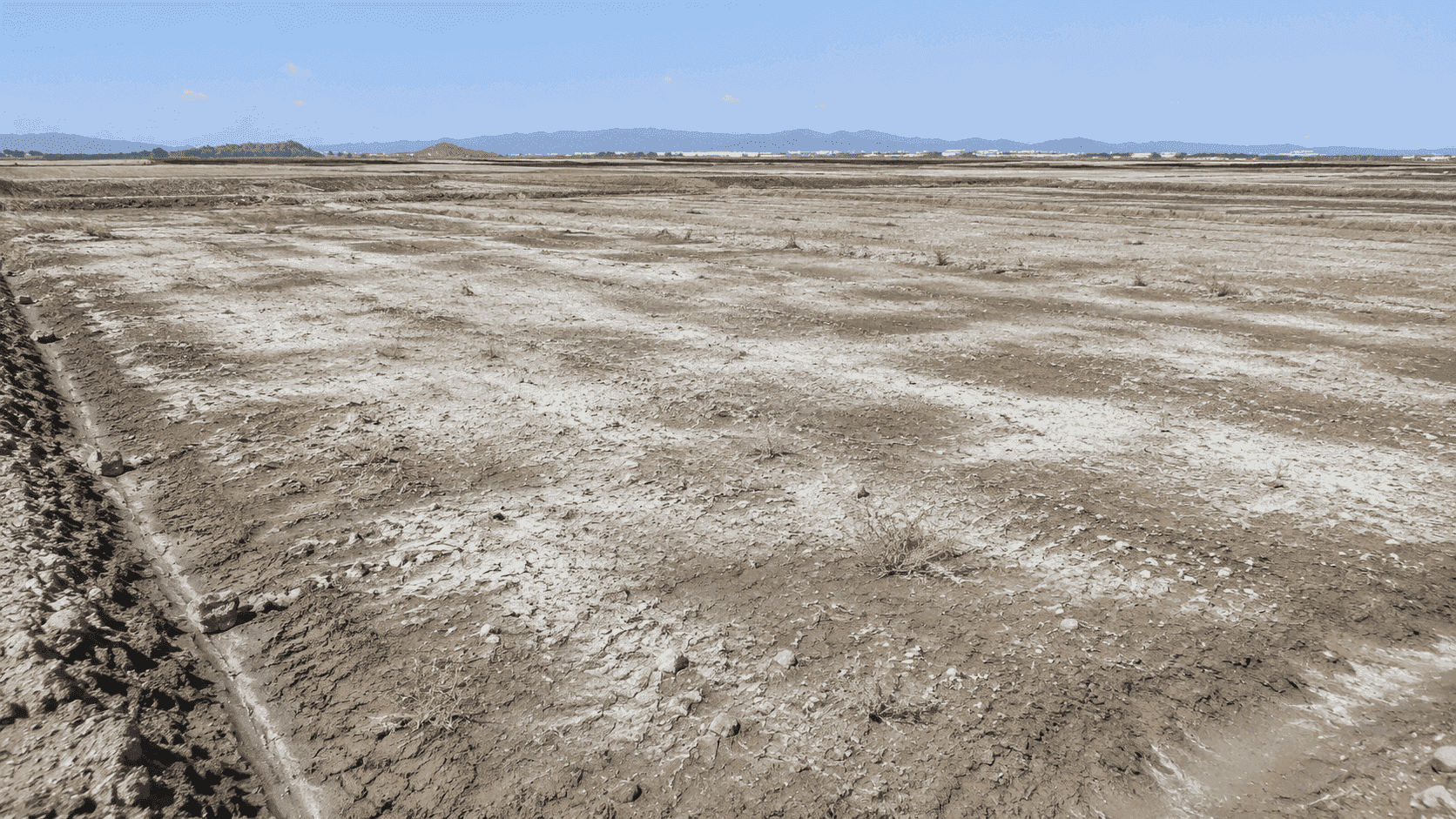 Reclaimed Land Improvement