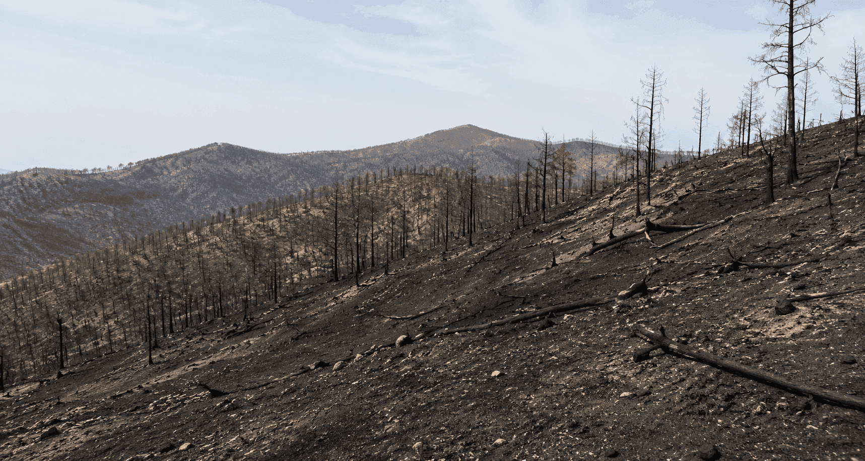 Wildfire Recovery