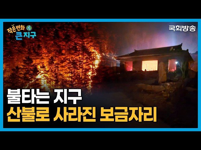불타는 지구🔥 산불로 사라진 보금자리🏘️ | 작은 변화 큰 지구 | 국회방송