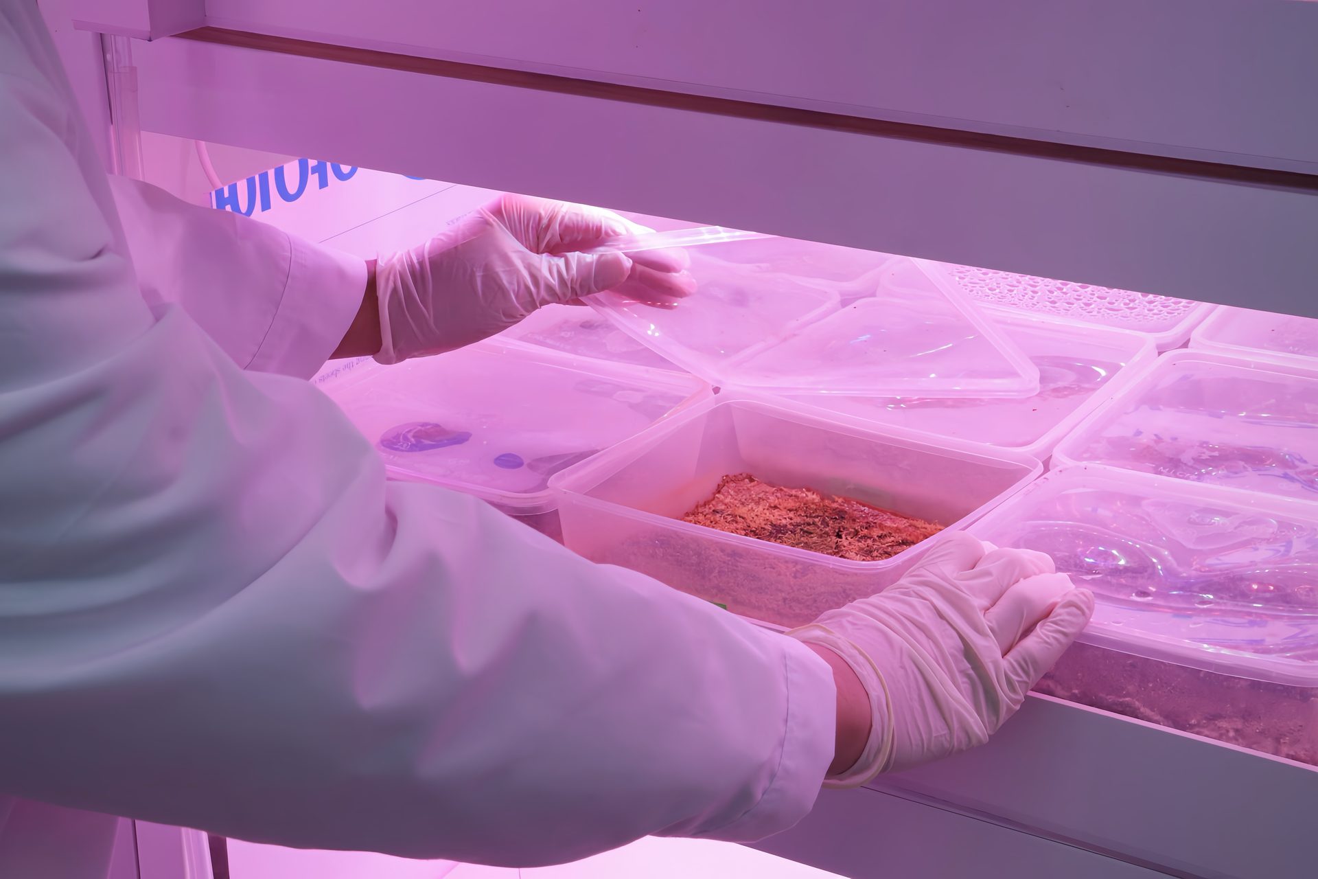 Space Soil Restoration Research